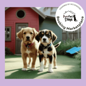 Puppy Playcare Package