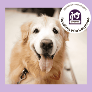 Senior Pet Wellness Check