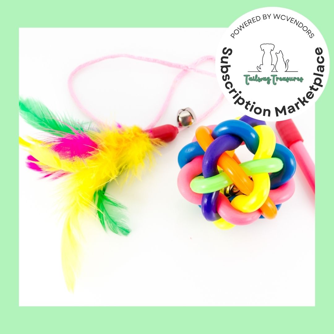 Kitty Cuddle Crate - Image 4